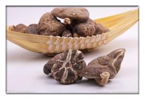Quality Dried mushroom, ediable mushroom , Dried Agaricus campestris,Dried Shiitake Mushroom for sale