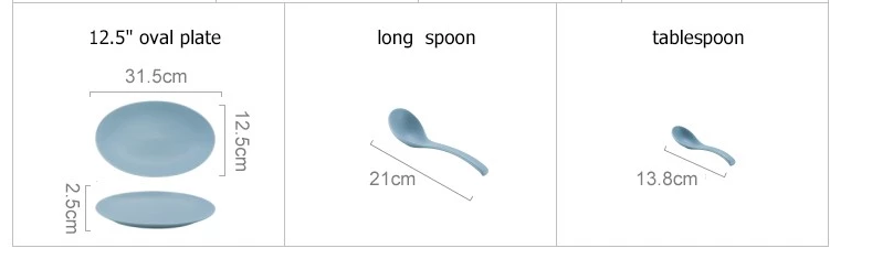 SGS Food Safety 31.5cm Ceramic Tableware Set