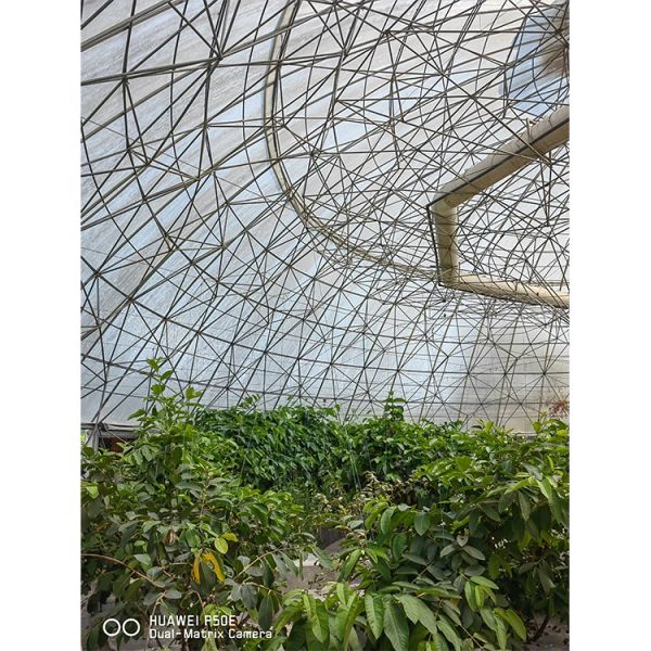 Film Surface Custom Garden Geodesic Dome Greenhouse Galvanized Steel with Grow Tent