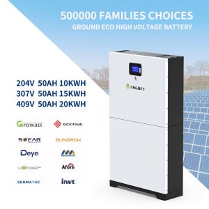 Quality Powerwall 48v 100ah Lifepo4 Battery 200ah RS485 CAN Communication for sale