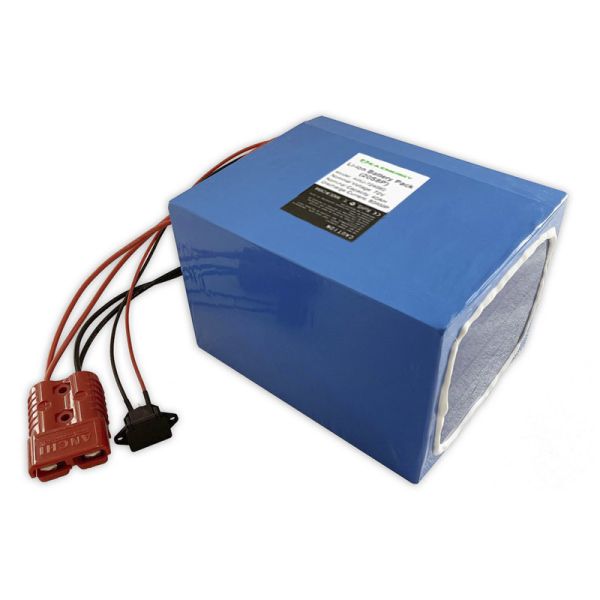 72V 50Ah Li Ion E Bike LiFePO4 Battery Packs Built In 50A BMS