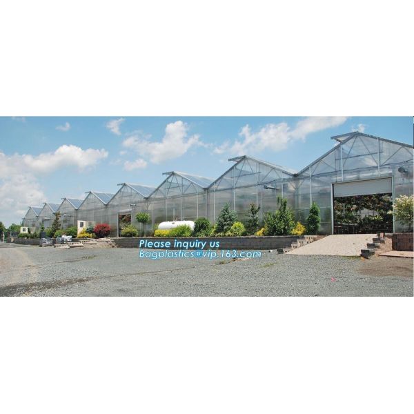 small garden green house,Multispan Tunnel Greenhouse for Tomato Agricultural Green houses,fabric steel wire agriculture