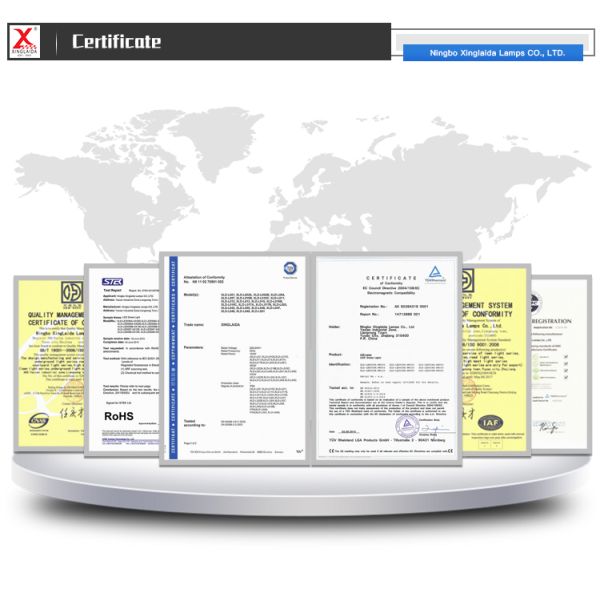 110-130lm/w Special Design Lighting and Circuitry Design Led Solar Lighting For Street