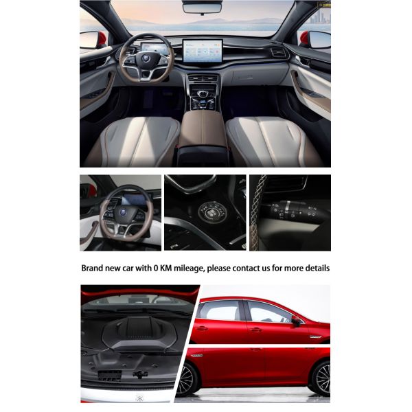 Contemporary Chinese New Energy Electric Vehicles 420KM Pure Byd Qin Plus