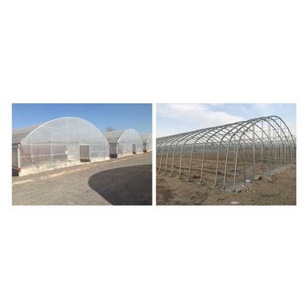3m High Agricultural Poly Tunnel Greenhouse Transparent Colour Customizable Height