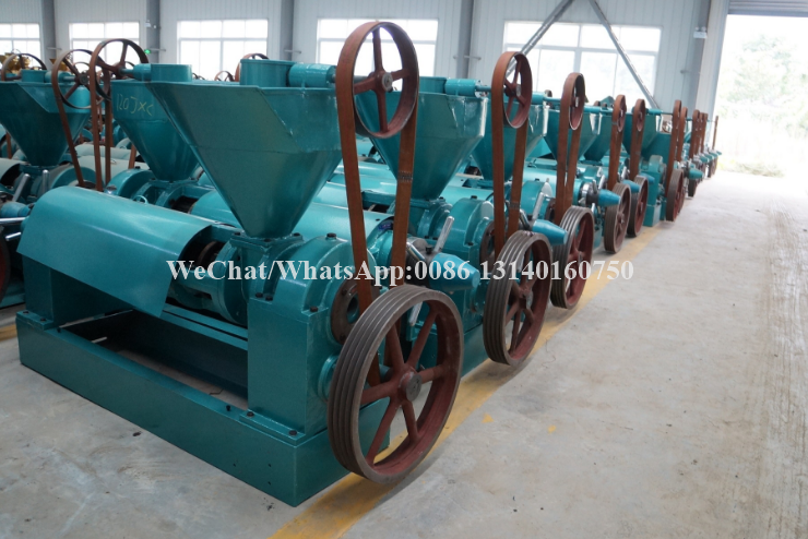 80-125kg/H Nuts Processing Machine Shea Automatic Oil Extraction Machine