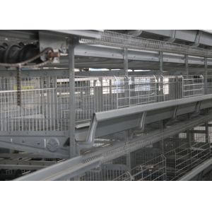 High Capacity Chick Rearing Equipment U - Shaped Steel Manage Easily