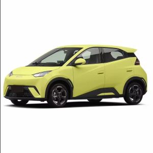 Maximum Speed 130 Km/H 2023 2024 Flying Edition 405km Long Range Energy Car EV