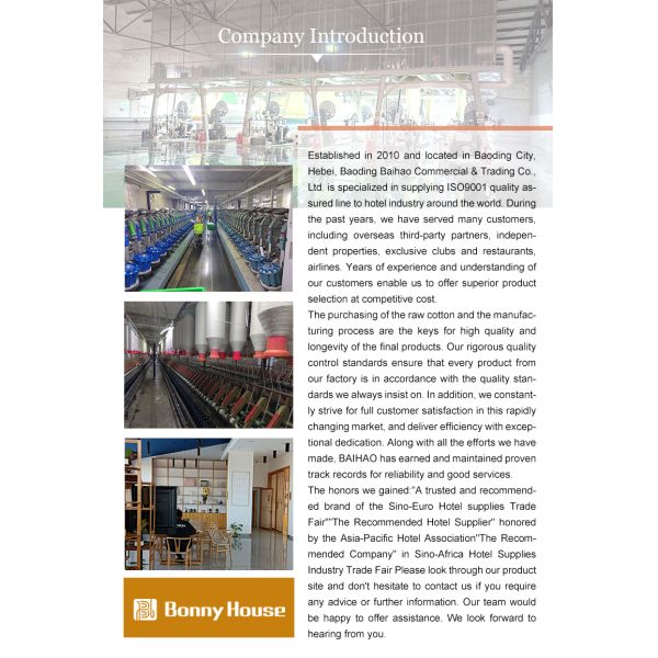 All-Season White Silk Queen King Size Bedding Set with Handmade Embroidery Lace Side