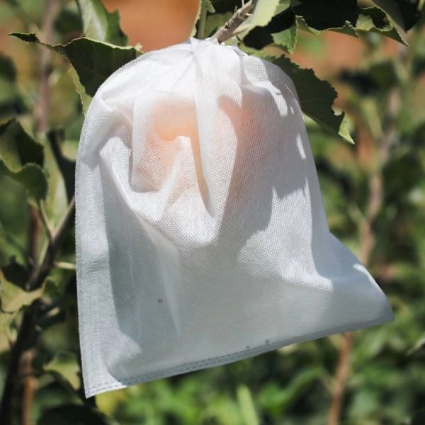 Polypropylene NonWoven Fruit Tree Protection Bags 18gsm