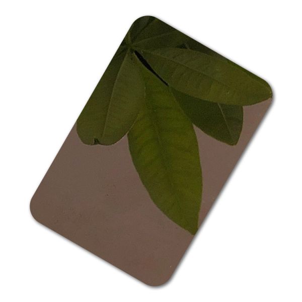 Astm 201 Stainless Steel Sheet Titanium Gold Mirror Coated 0.3mm Thickness