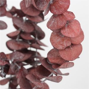 Lovely Preserve Eucalyptus Leaves , Eucalyptus Dried Flowers With Long Life