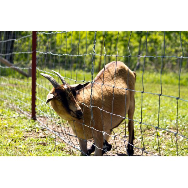 164 ft Galvanized Iron Wire Mesh Fence Field Wild Animal Garden Fencing Roll