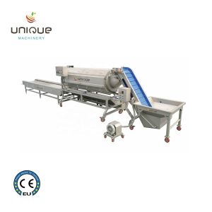 China Function Washing Peeling Vegetables Stainless Steel 304 Cutting Sorting Machine on sale