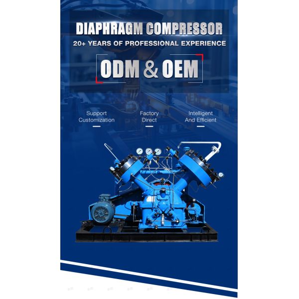 High Pressure Helium Gas Air Compressors Hydrogen Diaphragm Compressor Customizable