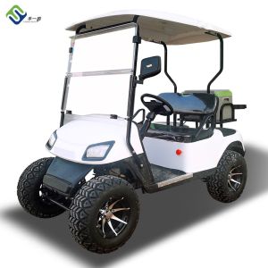 China Custom Power Steering EV Golf Cart Electric Powered Vehicle 20mph on sale