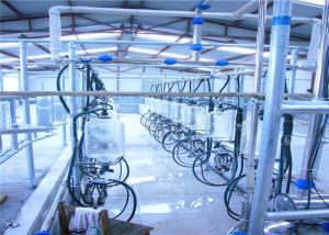 Quality Large Scale Milking Parlor Equipment , Cows Parallel Milking Parlor for sale