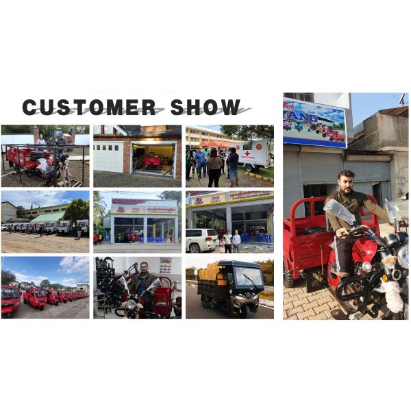 Motorized Three Wheel Electric Passenger Tricycle for Heavy Duty Cargo Delivery Needs