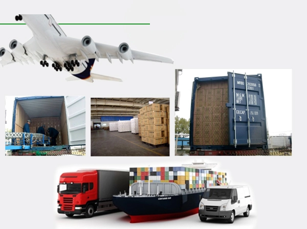 Ritian Dental Barrier Film Roll With Dispenser Box 1200 Perforated 4x6 Sheets