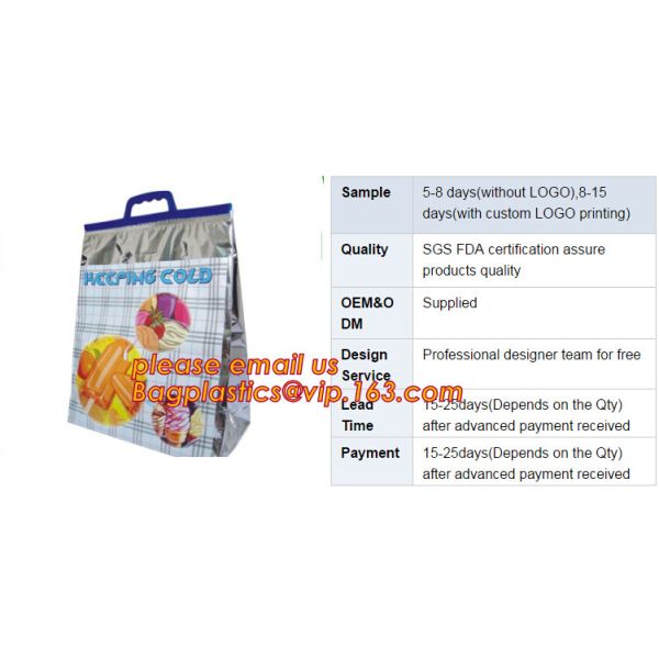 Foldable Lunch Insulated Cooler Bag Heated Food Delivery Bag Thermal Pizza Delivery Cooler Bag