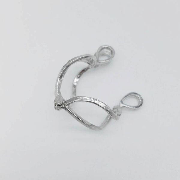 Natural Pearl Oyster Pearl Cage Pendant Silver Lady Charm Surprise Valentine's Day Gift