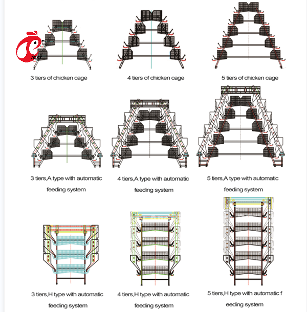 A H Type Adult Commercial Chicken Battery Cages For Laying Hens Star