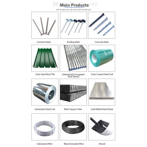 Diameter 6mm 100 Ft Galvanized Wire 21G Annealed Galvanized Wire