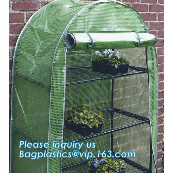 small garden green house,Multispan Tunnel Greenhouse for Tomato Agricultural Green houses,fabric steel wire agriculture
