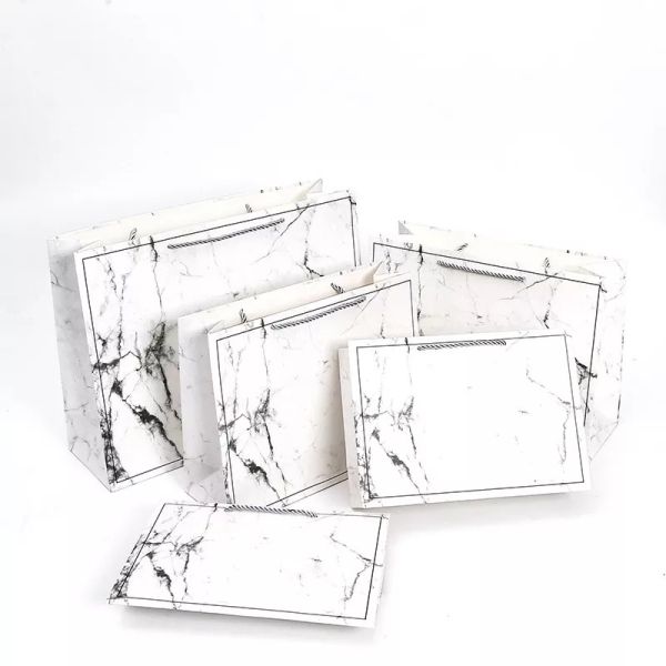 Pantone Colors Clothing Shoe Kraft Paper Bags Offset Printing Promotion Gift Bag