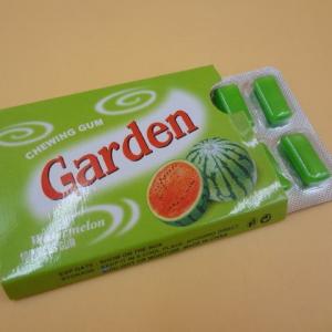 China Garden Long Shape Pop Bubble Gum Chewing Gum Kids Tasty OEM Available on sale