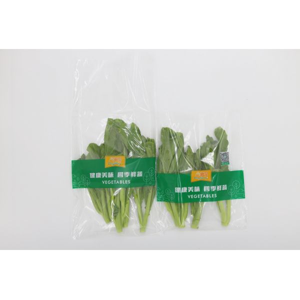 Custom Plastic Clear Packaging Bag Resealable Self Adhesive Opp Cellophane Seal