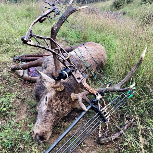 Id .165"/.204"/.246" /Id .165"/.315" target,3d/indoor Arrows 100% Pure Carbon Hunting Carbon Arrows