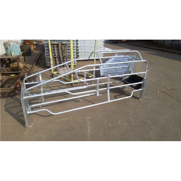 Hign Strength Galvanized Pig Farrowing Crate Anti Corrosive Long Using Life Time