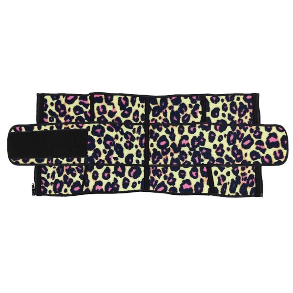 Single Belt Leopard Print Waist Trainer