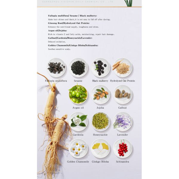 OEM/ODM Available - 100ml Salon-Grade Herbal Hair Dye, Low Ammonia Skin-Friendly Non-Irritating, 100% Grey Concealment, Long-Lasting Color Locking