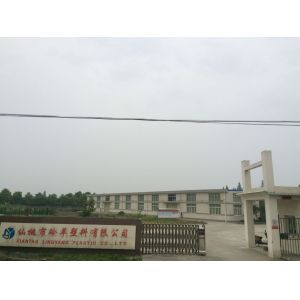 Xiantao Lingyang Plastic Co., Ltd