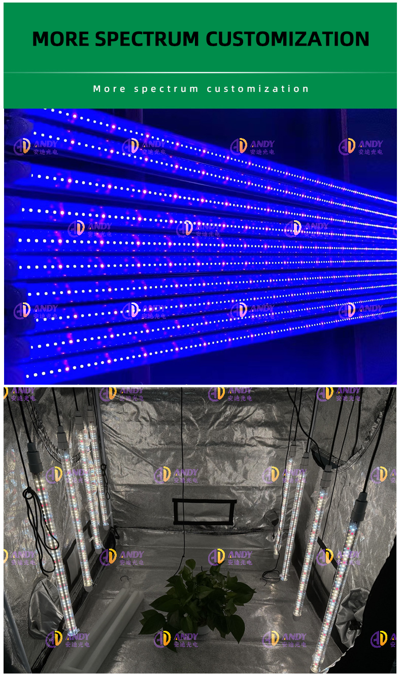 Vertical Greenhouse Farming LED Grow Light Tubes 220V T8 T10 T12 4FT 18W 25W 36W 48W For Veg Bloom