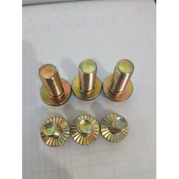Precision Nonstandard Parts OEM Service with Pan Head Thread Rolling Screws DIN7500C
