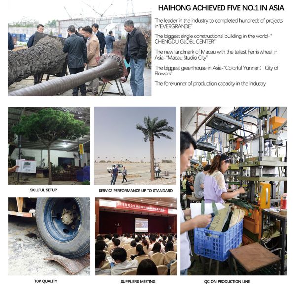 Potted Plant Evergreen Artificial Fortune Tree 30-60cm Natural Leaves For Bedroom Decor