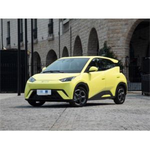 Quality Yellow Byd Seagull Hatchback Vehicle Automobile Pure Electric 5 Seat for sale