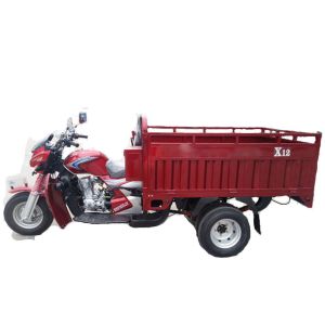 Quality Rear Load Gasoline 1.5t 200w 5 Wheel Motorcycle for sale