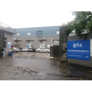 Dongguan Yuelinsen Metal Technology Co., Ltd.