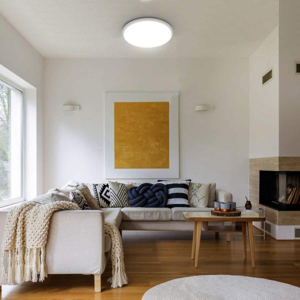 24w Tuya Smart Ceiling Light Colorful Rgb Remote Control Led Modern Music