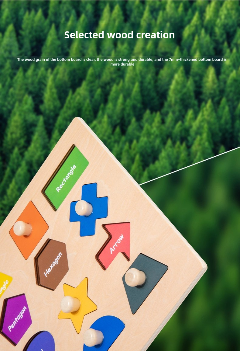 Montessori Children Wooden Magnetic 3d Shape Sorter Matching Puzzle Learning Board Educational Teaching Aids Toys for Kids