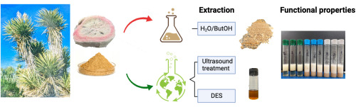 Yucca Saponin Yucca Root Extract Yucca Saponin