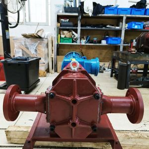 Wear - Resistant Pump Casing , Rotor Lobe Pump , Railway Vacuum Sewage System