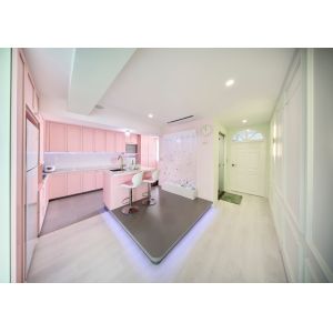 Pink Colour Modular Kitchen Stainless Steel Cabinets Luxury Classic Custom
