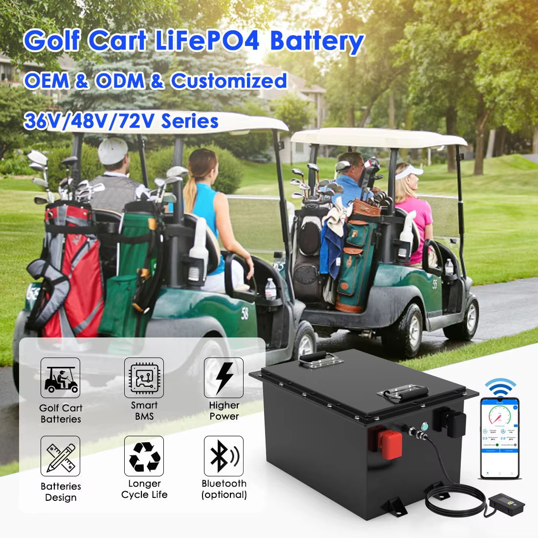 Customized Lithium Ion LiFePO4 Battery Pack 100AH Golf Cart AGV Cleaner Truck