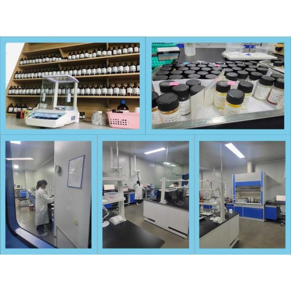 Amor Amor Fragrance 5kgs / Bottle Fragrance Essence 2