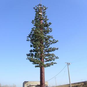 Quality 50m Height Monopole Pine Tree Tower With TV Radio Mobile Antenna for sale